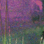 randown_02.jpg
